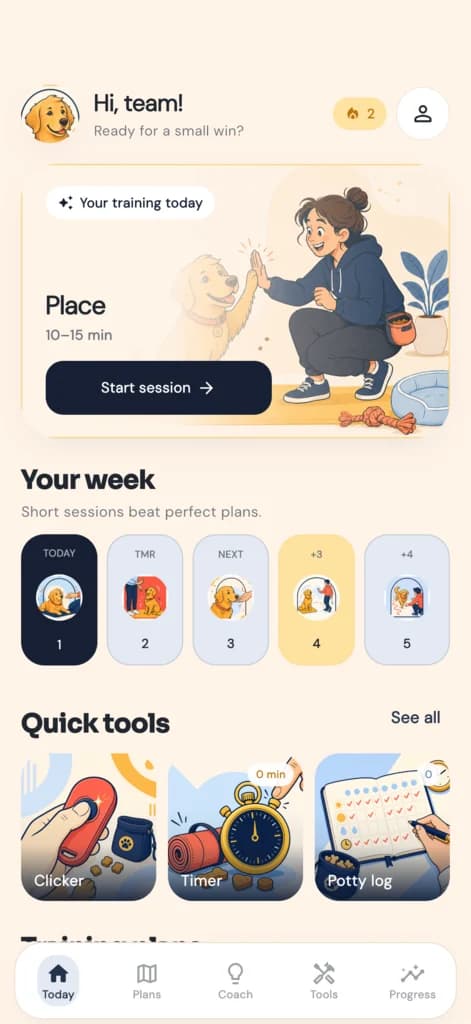 Daily lesson and weekly plan at a glance